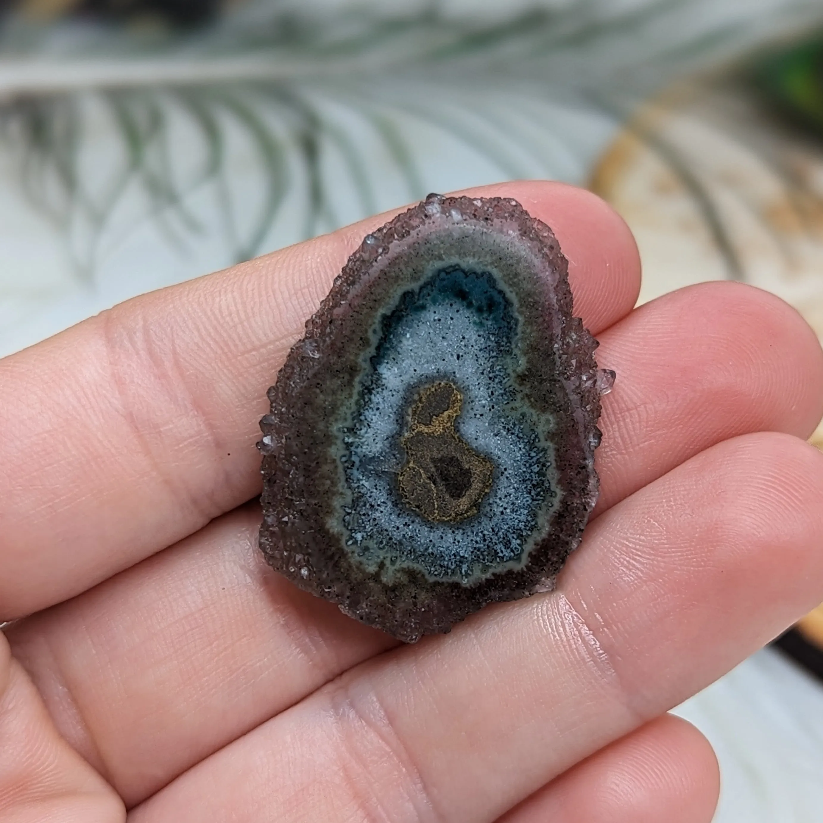 Amethyst Stalactite Slice Specimen #2 ~ Expansion of the Higher Self