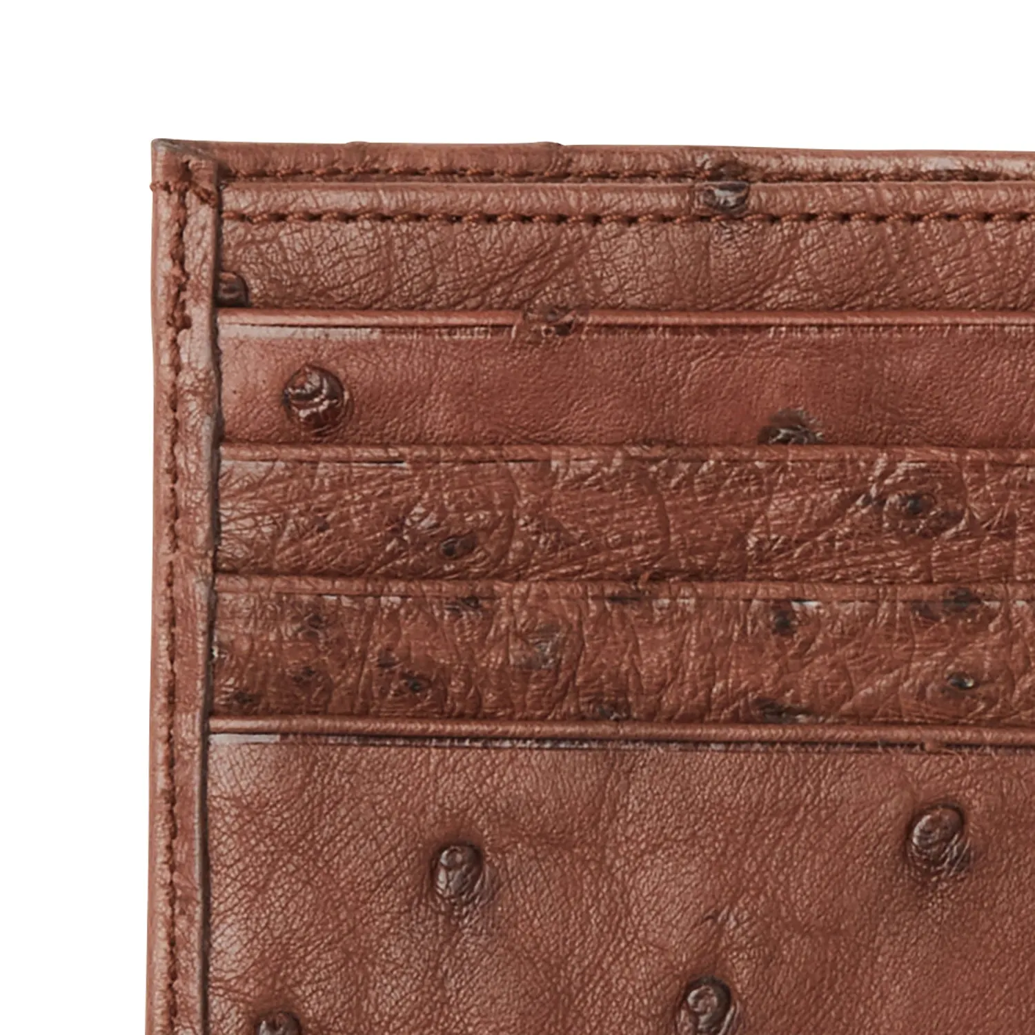 Hipster Wallet – Ostrich :: Sienna